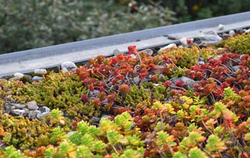 the cost of Easter Balgedie green roof installation