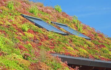 Easter Balgedie living roof systems