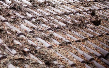 Easter Balgedie roof cleaning companies