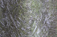 Easter Balgedie fibreglass roof work